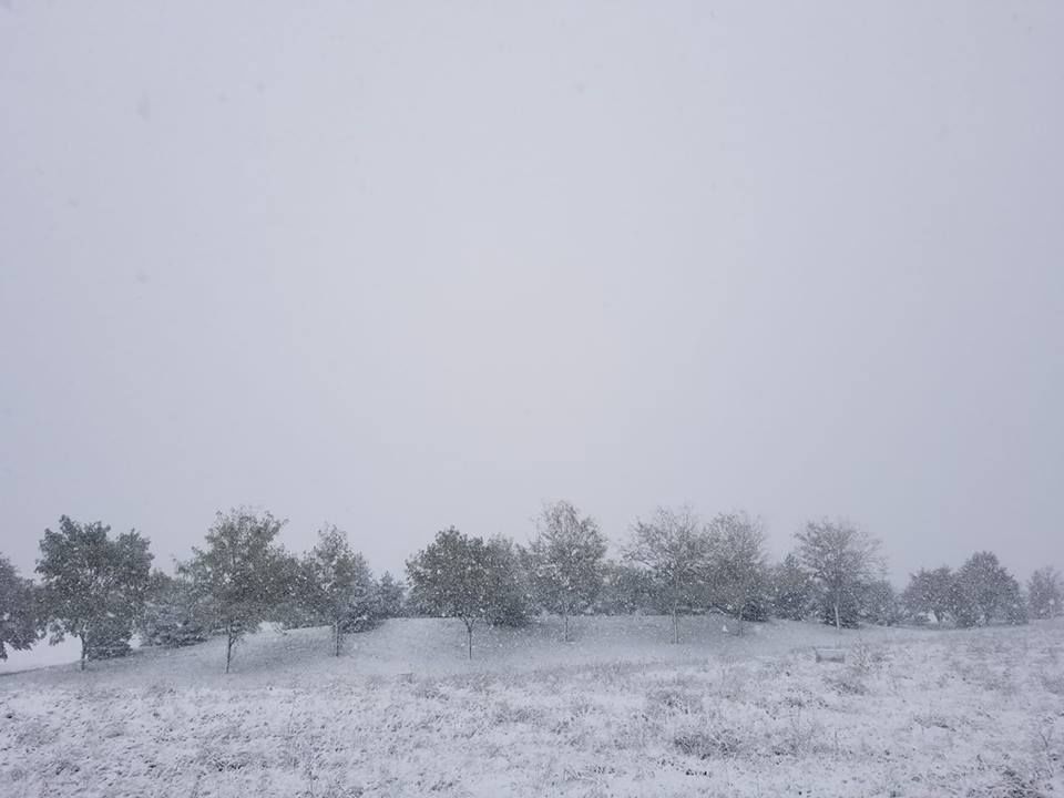 Snow, 10/14